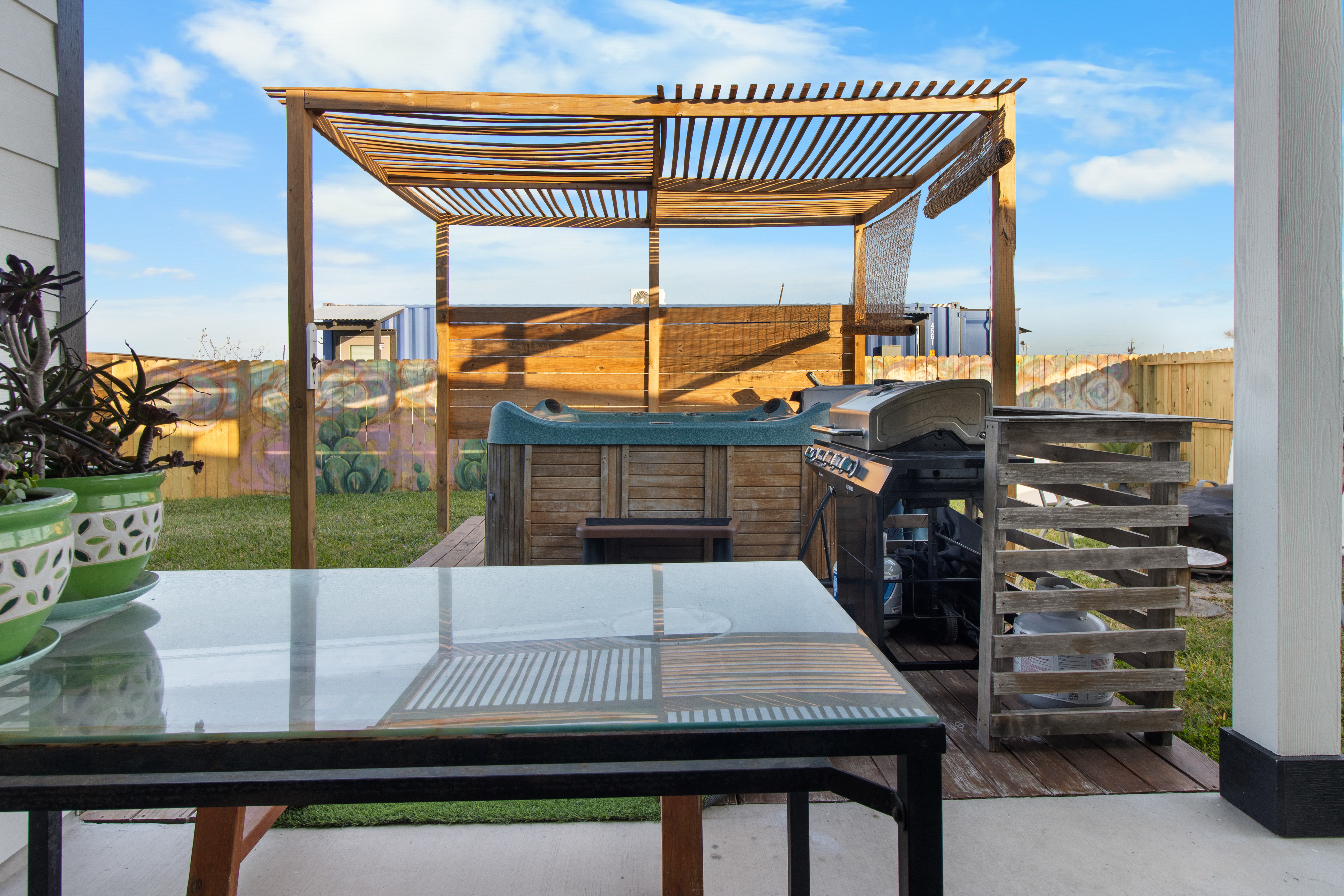 Backyard 02